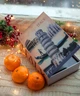 Книга сейф на кодовом замке 24см Италия для денег и ценностей TC - изображение 7