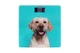 Весы Ardesto напольные Dog, 150кг, AAAx2 в комплекте, стекло, многоцветные (SCB-965DOG_ER) - изображение 2
