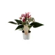 Рослина жива Антуріум Зізу (Anthurium Zizou) в 9 см горщику, 20-30см висотою, з квітами. - зображення 4