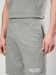 Шорты хлопковые короткие мужские Puma Essentials Graphics 69179003 L Medium Gray Heather (4069161973949) - изображение 4