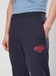 Спортивные штаны мужские Puma Essentials Graphics 69202516 XL New Navy (4069161916939) - изображение 4