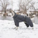 Комбінезон Pet Fashion COLD для собак сірий 6XL - изображение 5
