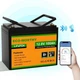 Акумулятор літий-залізо-фосфатний ECO-WORTHY 12,8 V 100Ah LiFePO4 з Bluetooth - изображение 1