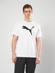 Футболка спортивная длинная мужская Puma Essentials Foundation 68254002 M White с принтом (4067983393174) - изображение 1