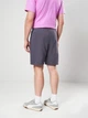 Шорты хлопковые для тренировок короткие мужские Puma Train All Day Foundations 52590999 L Galactic Gray (4069162175366) - изображение 2
