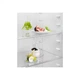 Холодильник Electrolux LRB3AE12S ELECTROLUX LRB3AE12S 953987 - изображение 4