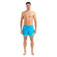 Шорти Arena BIG LOGO BORDERS BEACH SHORT (009103-831) M - зображення 3