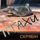 Виниловая пластинка Скрябін - Птахи - изображение 1