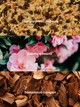 Лосьон для тела Victoria’s Secret Camellia Sunset 236 мл - изображение 3
