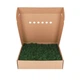 Стабилизированный Мох - Ягель - 1 кг - Forest Green - изображение 2