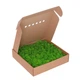 Стабилизированный Мох - Ягель - Light Green - 1 кг - изображение 1