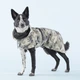 Дощовик для собак з FIR-підкладкою PAIKKA Recovery Raincoat Camo 40 - зображення 1