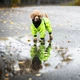 Водонепроницаемый костюм для собак PAIKKA Rain Suit 25 - изображение 7
