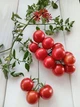 Насіння томатів на Гілці (25шт) - изображение 1
