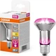Світлодіодна фіто лампа OSRAM Star Grow Filament 7.5 Вт E27 (4099854245138) - зображення 2