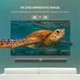 Кабель мультимедійний Display Port to Display Port 5.0m V1.2 DP102 Ugreen - зображення 7