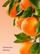 Подарочный набор с косметичкой Victoria’s Secret Clementine Hibiscus Feel Energized Travel Set 25164995 - изображение 4