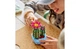 Конструктор Lego Botanicals Цвітіння кактуса, 482 деталі 11509 - зображення 6