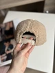 Кепка бейсболка баранчик Тедді Ugg з вушками жіноча тепла Бежевий - зображення 5