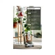 Пылесос Adler AD 7051 Adler AD 7051 971019 - изображение 7