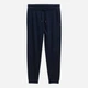 Спортивные штаны мужские Tom Tailor 1049277-10668 XL Sky Captain Blue (4069402107355) - изображение 4