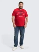 Футболка хлопковая длинная мужская Tom Tailor 1039944-12830 4XL Samba Red с принтом (4069402133590) - изображение 3