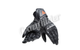Перчатки демисезонные DAINESE CARBON 4 LONG LEATHER Black XL - изображение 5