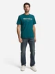 Футболка хлопковая длинная мужская Tom Tailor 1050136-12818 3XL Deep Meadow Green с принтом (4069403125655) - изображение 3