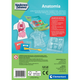 Набор для опытов Clementoni: Анатомия — 50252 - изображение 4
