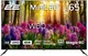 Телевизор 2E MiniLED 65" 2E-65A88H - изображение 1
