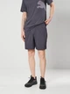 Спортивные шорты для тренировок мужские Puma Train All Day Essentials 52804699 S Galactic Gray (4069157565974) - изображение 1