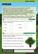 Minecraft. Англійська мова. Офіційний посібник. 9-10 років. Джон Гоулдінг, Ден Вайтгед. АртБукс - зображення 6