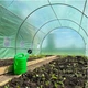 Теплица пленочная армированная,парник 3×6×2 м Kontrast KO 06320 18 м² зеленая с вентиляционными окнами - изображение 13