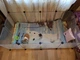Клітка-манеж для тварин Songmics W02 143×73×46 см, модульний вольєр для кролика, морської свинки, гризунів - зображення 8