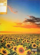 Папка 10 файлів А4, OPTIMA 32124 Nature of Ukraine /O32124/ - изображение 1