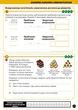 Minecraft. Математика. Офіційний посібник. 8-9 років. Ден Ліпскомб, Лайза Боуві. АртБукс - зображення 7