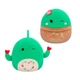 М'яка іграшка Squishmallows – Друзі Кактуси (2 шт, 19 cm) Squishmallows (249487) - зображення 1