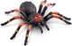 Інтерактивна іграшка Zuru Robo Alive Giant Tarantula великий павук Тарантул зі слизом - изображение 5