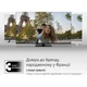 Телевизор THOMSON 75UG5C14 - изображение 10