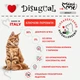 Вологий корм для котів Беззерновий Паштет з Курки Disugual Mini Me Cat 96% Protein Chicken 85 г - зображення 2