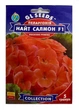 Насіння Пеларгонія Найт Салмон F1 5 гранул, GL Seeds - изображение 1