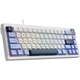 Клавиатура Ajazz AK650 Sea Salt Switch White/Blue (AK650-SS-BWB) [156876] - изображение 2