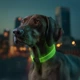 Ошейник для собак с подсветкой WAUDOG LED, RGB, Type-C, регулируемый - изображение 6