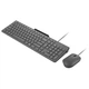 Комплект Lenovo 310 Combo Wired USB UA Black (GX31R09776) - изображение 4