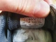 Чоловічі кросівки на весну літо SPERRY TOP SIDER 40 26 см 6.5 UK сірі - изображение 5
