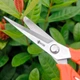Секатор садовый для сбора фруктов и обрезки SAGAWATA SW-912 удлиненный, ножницы для фруктов - изображение 2