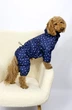 Дощовик Dogsbomba з фіксаторами umbrellas M-134 розмір 2 (M-134/2) - изображение 1