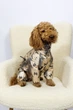 Дощовик з фіксаторами butterflies Dogs Bomba M-133/9 - зображення 2