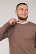 Джемпер чоловічий YUKI коричневий 46 ЦБ-00275932 - изображение 3