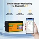 Аккумулятор LiFePO4 Eco-Worthy 25.6V 100Ач 2560Wh Bluetooth с BMS защитой >4000 циклов литий-железо-фосфатная батарея - изображение 2